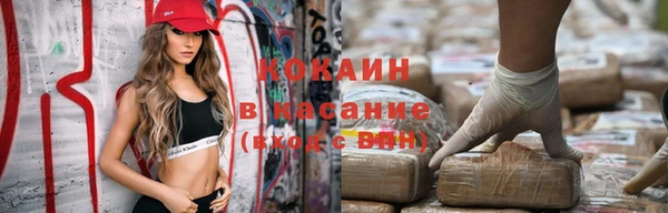 хмурый Аркадак