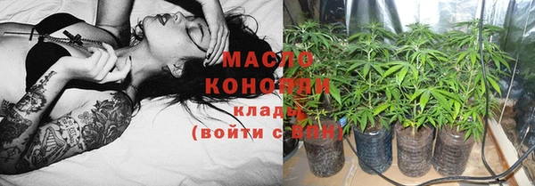 хмурый Аркадак