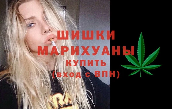 хмурый Аркадак