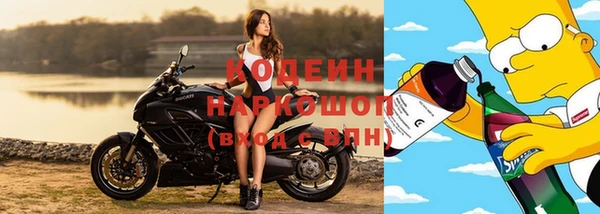 хмурый Аркадак
