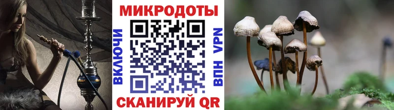 Галлюциногенные грибы Psilocybine cubensis  купить наркотики сайты  Новоульяновск 